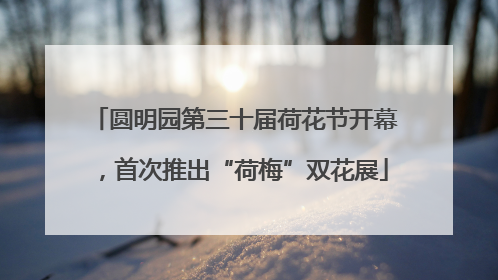 圆明园第三十届荷花节开幕，首次推出“荷梅”双花展