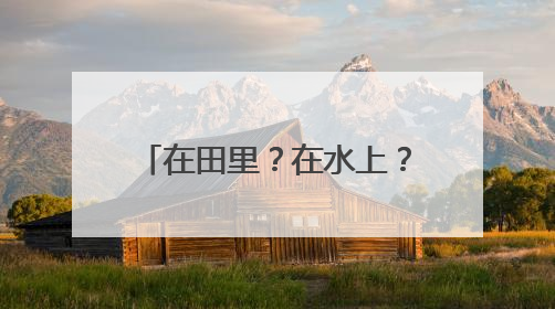 在田里？在水上？瑜伽还能这样练