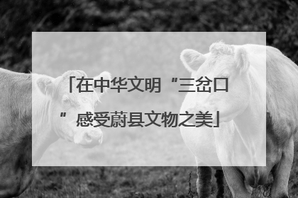 在中华文明“三岔口”感受蔚县文物之美