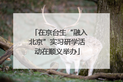 在京台生“融入北京”实习研学活动在顺义举办