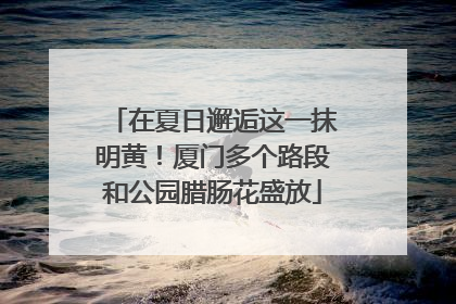 在夏日邂逅这一抹明黄！厦门多个路段和公园腊肠花盛放
