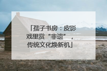 孺子书房：皮影戏里赏“非遗”，传统文化焕新机