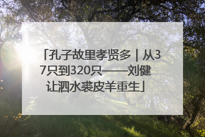 孔子故里孝贤多｜从37只到320只——刘健让泗水裘皮羊重生