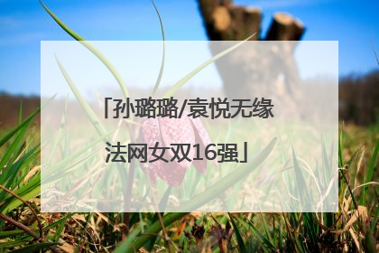 孙璐璐/袁悦无缘法网女双16强