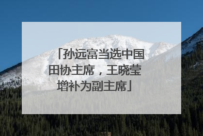 孙远富当选中国田协主席，王晓莹增补为副主席