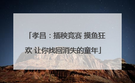 孝昌：插秧竞赛 摸鱼狂欢 让你找回消失的童年