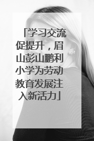 学习交流促提升，眉山彭山鹏利小学为劳动教育发展注入新活力