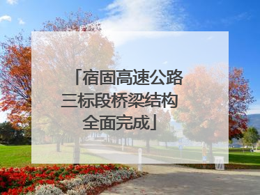 宿固高速公路三标段桥梁结构全面完成