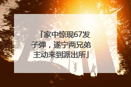 家中惊现67发子弹，遂宁两兄弟主动来到派出所