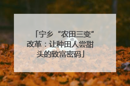宁乡“农田三变”改革：让种田人尝甜头的致富密码
