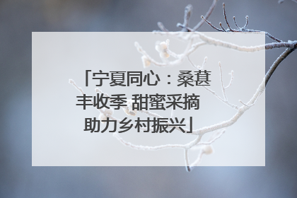 宁夏同心：桑葚丰收季 甜蜜采摘助力乡村振兴