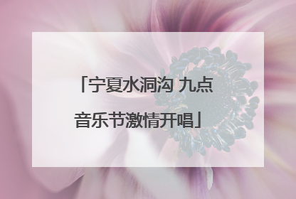 宁夏水洞沟 九点音乐节激情开唱