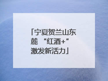 宁夏贺兰山东麓 “红酒+”激发新活力