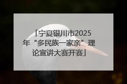 宁夏银川市2025年“多民族一家亲”理论宣讲大赛开赛