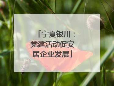宁夏银川：党建活动促安居企业发展