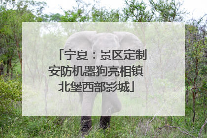 宁夏：景区定制安防机器狗亮相镇北堡西部影城