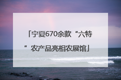 宁夏670余款“六特”农产品亮相农展馆