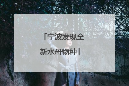 宁波发现全新水母物种
