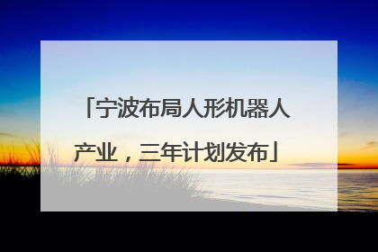 宁波布局人形机器人产业，三年计划发布