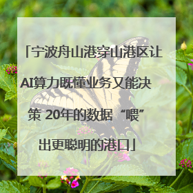 宁波舟山港穿山港区让AI算力既懂业务又能决策 20年的数据“喂”出更聪明的港口