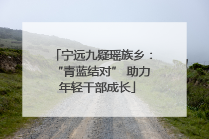 宁远九疑瑶族乡：“青蓝结对” 助力年轻干部成长