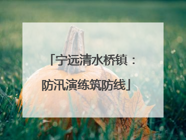 宁远清水桥镇：防汛演练筑防线