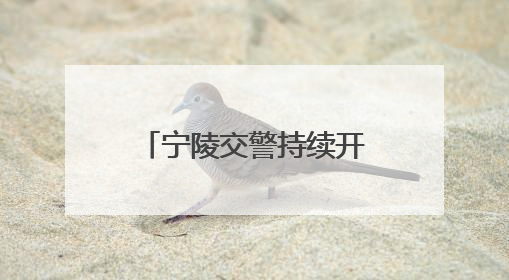 宁陵交警持续开展“一盔一带”“礼让斑马线”主题公益宣传活