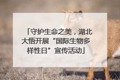 守护生命之美，湖北大悟开展“国际生物多样性日”宣传活动