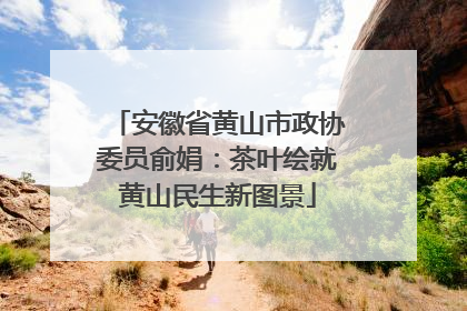 安徽省黄山市政协委员俞娟：茶叶绘就黄山民生新图景