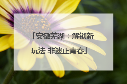 安徽芜湖：解锁新玩法 非遗正青春
