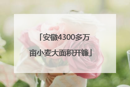 安徽4300多万亩小麦大面积开镰