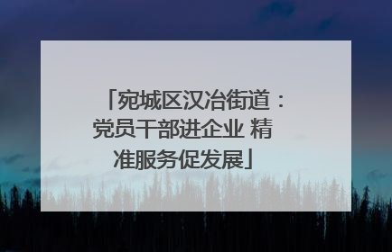 宛城区汉冶街道：党员干部进企业 精准服务促发展