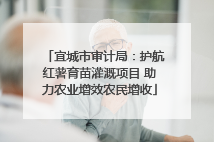 宜城市审计局：护航红薯育苗灌溉项目 助力农业增效农民增收