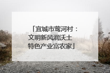 宜城市莺河村：文明新风润沃土 特色产业富农家