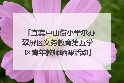 宜宾中山街小学承办翠屏区义务教育第五学区青年教师晒课活动