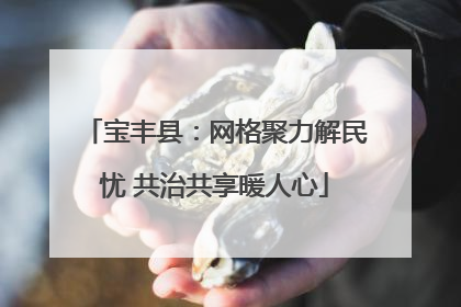 宝丰县：网格聚力解民忧 共治共享暖人心