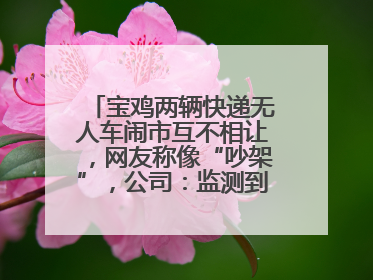 宝鸡两辆快递无人车闹市互不相让，网友称像“吵架”，公司：监测到异常会有技术或人为干预处置