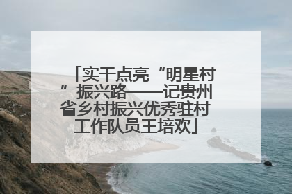实干点亮“明星村”振兴路——记贵州省乡村振兴优秀驻村工作队员王培欢