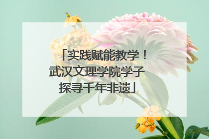 实践赋能教学！武汉文理学院学子探寻千年非遗