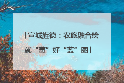宣城旌德：农旅融合绘就“莓”好“蓝”图