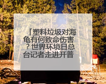 塑料垃圾对海龟有何致命伤害？世界环境日总台记者走进开普敦海洋馆