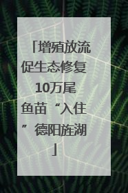 增殖放流促生态修复 10万尾鱼苗“入住”德阳旌湖