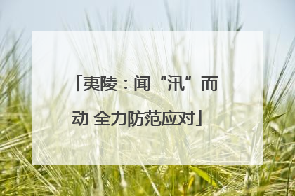 夷陵：闻“汛”而动 全力防范应对