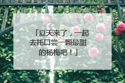 夏天来了，一起去托口尝一颗最甜的杨梅吧！