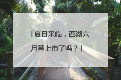 夏日来临，西湖六月黄上市了吗？