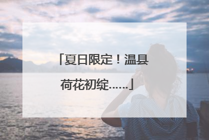 夏日限定！温县荷花初绽……