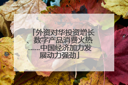 外资对华投资增长、数字产品消费火热……中国经济加力发展动力强劲