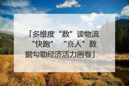 多维度“数”读物流“快跑” “喜人”数据勾勒经济活力画卷