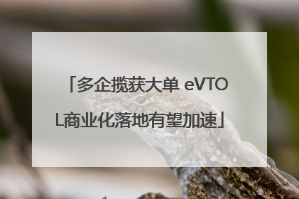 多企揽获大单 eVTOL商业化落地有望加速