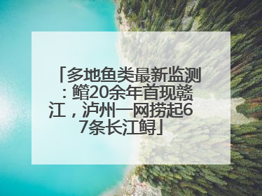多地鱼类最新监测：鳤20余年首现赣江，泸州一网捞起67条长江鲟